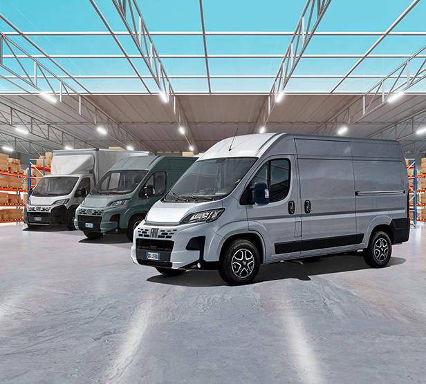 ducato-gamma-616X556